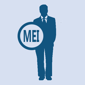 Bot�o MEI